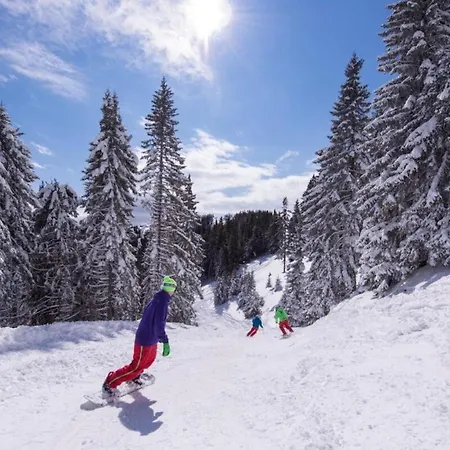 公寓 Otta Golte C2 莫济列